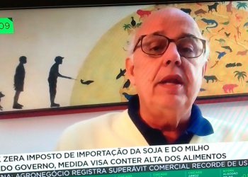 Importação de milho tem que ser muito bem dosada, diz presidente institucional da Abramilho