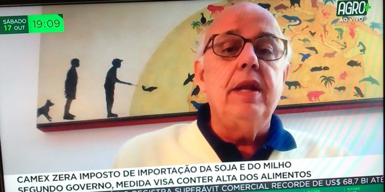 Importação de milho tem que ser muito bem dosada, diz presidente institucional da Abramilho