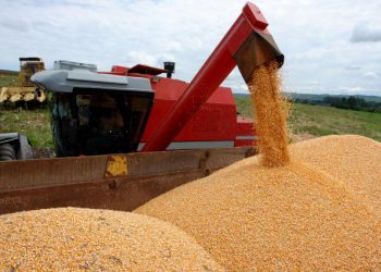 Análise da Abramilho sobre impactos da eleição de Biden para o agronegócio brasileiro tem ampla repercussão na imprensa