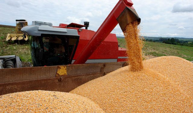 Análise da Abramilho sobre impactos da eleição de Biden para o agronegócio brasileiro tem ampla repercussão na imprensa