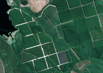 Artigo do presidente institucional da Abramilho é destaque no Estadão