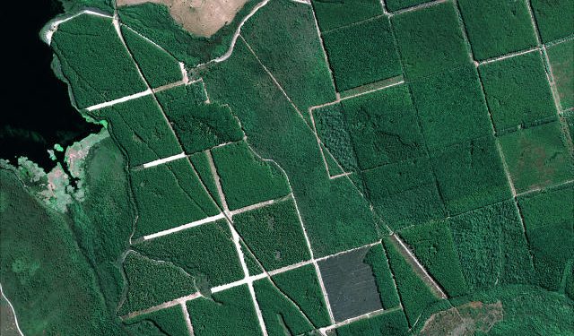 Artigo do presidente institucional da Abramilho é destaque no Estadão