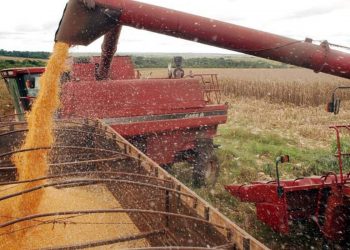 Posicionamento da Abramilho criticando aumento de carga tributária sobre insumos e produtos agrícolas em SP tem ampla repercussão na imprensa