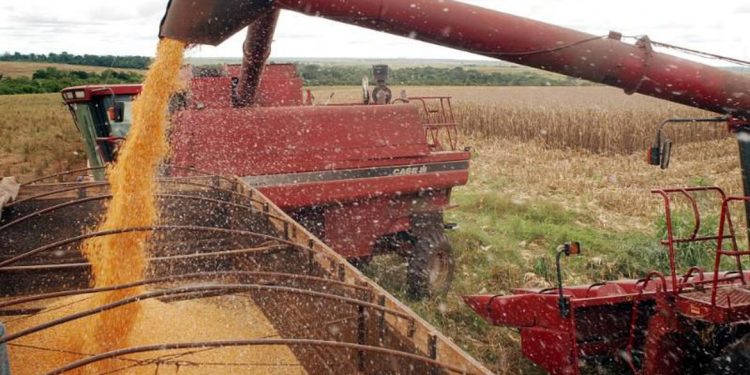 Posicionamento da Abramilho criticando aumento de carga tributária sobre insumos e produtos agrícolas em SP tem ampla repercussão na imprensa