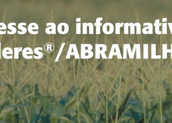 Novo relatório Céleres/Abramilho destaca início da colheita da safra de verão 2020/21