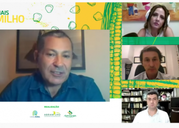 Assista webinar Abramilho sobre impactos de pragas e doenças nas lavouras do grão