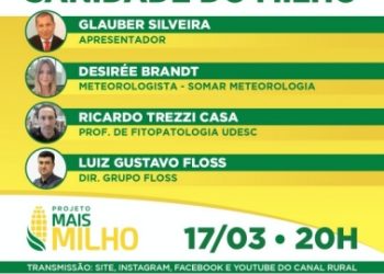 Abramilho realiza webinar sobre sanidade do milho