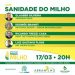 Abramilho realiza webinar sobre sanidade do milho