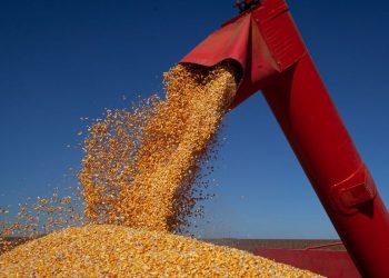 Colheita da safra de verão 2020/21 atinge 76,5% da área, diz novo relatório Céleres/Abramilho