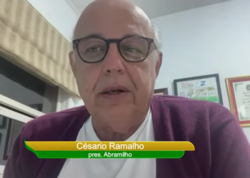 Brasil precisa de um plano estratégico para aumentar estruturalmente a produção de milho, diz Abramilho