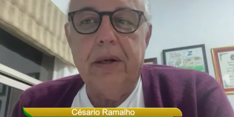 Brasil precisa de um plano estratégico para aumentar estruturalmente a produção de milho, diz Abramilho