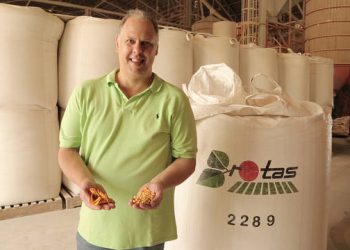 Diretor da Abramilho assume presidência da Aliança Internacional do Milho