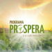 Com apoio da Abramilho, Programa Prospera viabiliza produção em larga escala de milho pelos pequenos produtores do Nordeste