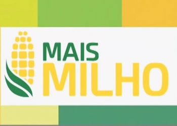 Confira cobertura da Abertura Nacional da Colheita do Milho 2021