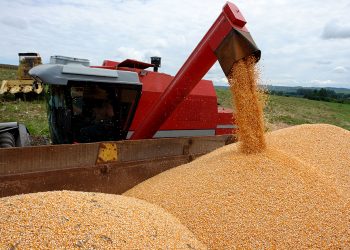 Relatório Céleres/Abramilho revisa para baixo estimativa para safra total 2020/21