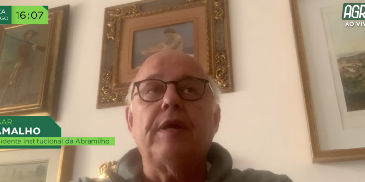 Presidente institucional da Abramilho avalia conjuntura do milho em entrevista ao Agro+