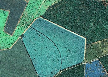 Conferência do Clima: desmatamento ilegal ofusca robusto pacote brasileiro de ativos ambientais, avalia Abramilho