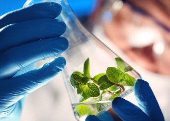 Quem manda na fazenda hoje é a Ciência, a tecnologia, diz presidente institucional Cesario Ramalho