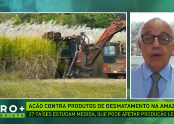 Entrevista ao Agro+: Abramilho avalia impactos de propostas da UE de restrição à importação de produtos agrícolas livres de desmatamento seja legal ou ilegal