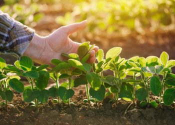 Abramilho apoia Projeto de Lei que moderniza marco regulatório de defensivos agrícolas