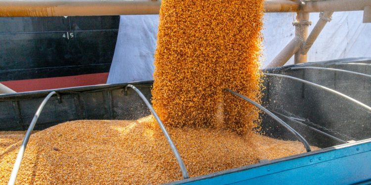 Abramilho é destaque na imprensa internacional ao avaliar mercado global do grão