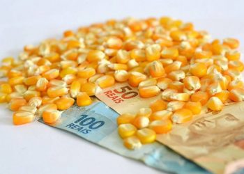 Suspensão do crédito subsidiado no fechamento desta safra 2021/22 gera preocupação para condições de financiamento na temporada 2022/23