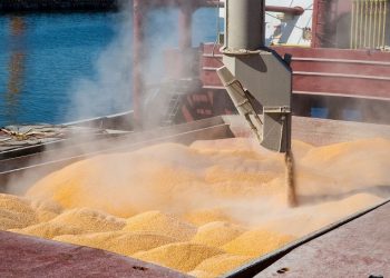 Abramilho é destaque em reportagem na imprensa espanhola sobre potencial das exportações brasileiras do grão