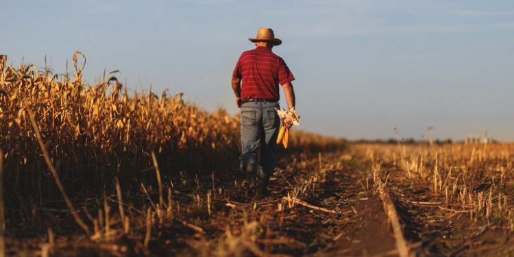 Paolinelli: atraso no Plano Safra preocupa