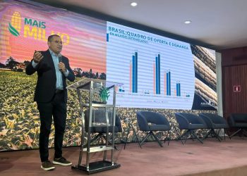 Segunda safra do milho deixa de ser “safrinha” e deve bater recorde de produção em 2023