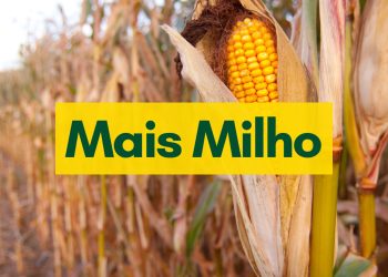 Mais Milho será aliado do produtor durante desafios e oportunidades de 2023