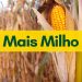 Mais Milho será aliado do produtor durante desafios e oportunidades de 2023