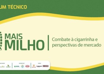 Cigarrinha e perspectivas de mercado são temas de Fórum Mais Milho