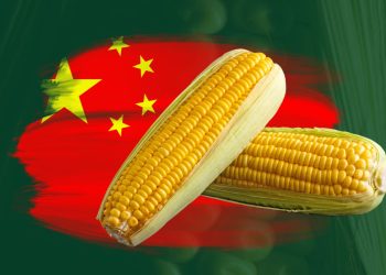 Abramilho pede ao Mapa que aborde temas de interesse do setor em missão à China