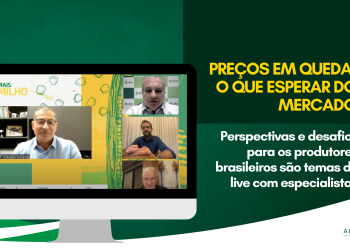 Mercado de milho em 2023: perspectivas e desafios para os produtores brasileiros são temas de live com especialistas