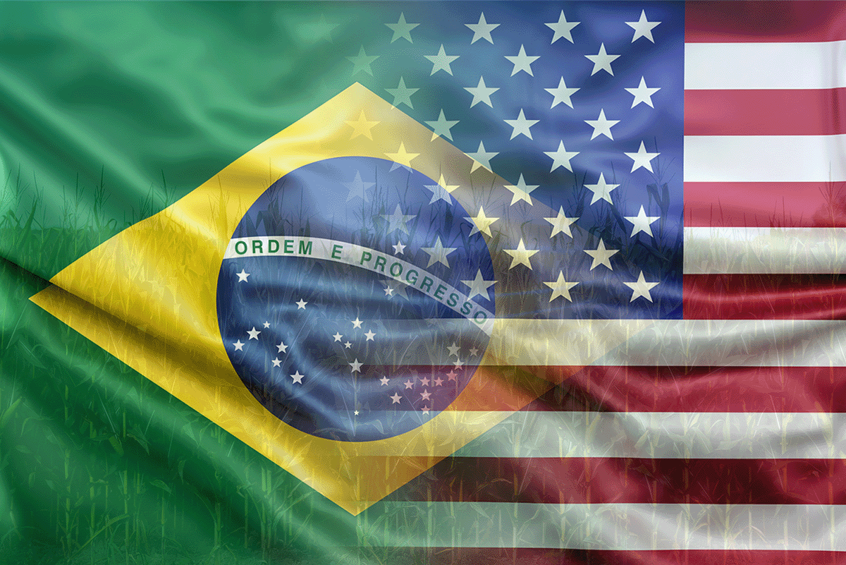 State of Search Brasil 4: como os brasileiros buscam em 2023