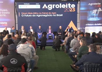 Fórum Mais Milho no Painel do Agro destaca desafios de armazenagem de milho e perspectivas do agronegócio