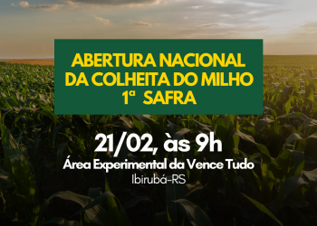 Abertura nacional da colheita da primeira safra de milho será em Ibirubá/RS