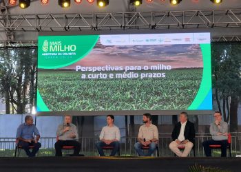 Abertura Nacional do Milho Primeira Safra reúne líderes do setor para discutir o futuro do grão no Brasil