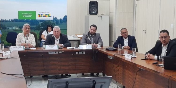 Biotecnologia e abertura de mercado com a China são destaques de reunião da Câmara Setorial de Milho e Sorgo