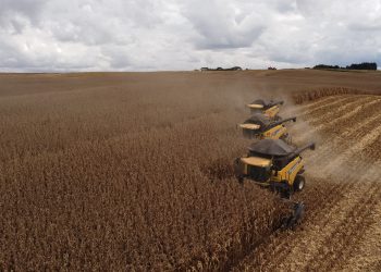 Agropecuária lidera crescimento da economia brasileira no 1º trimestre de 2025