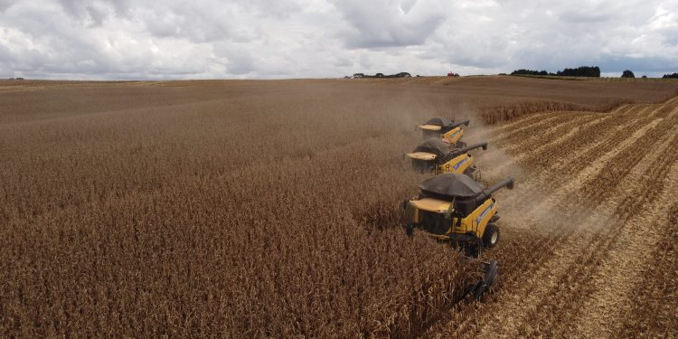 Agropecuária lidera crescimento da economia brasileira no 1º trimestre de 2025