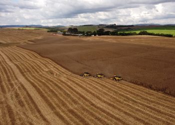 Abramilho avalia Plano Safra 2025/2026