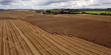 Abramilho avalia Plano Safra 2025/2026