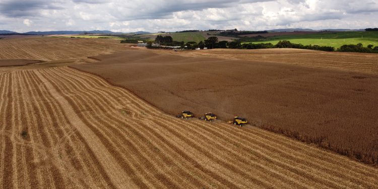 Abramilho avalia Plano Safra 2025/2026