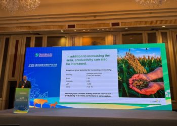 Abramilho destaca potencial de exportação de sorgo para a China