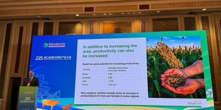 Abramilho destaca potencial de exportação de sorgo para a China