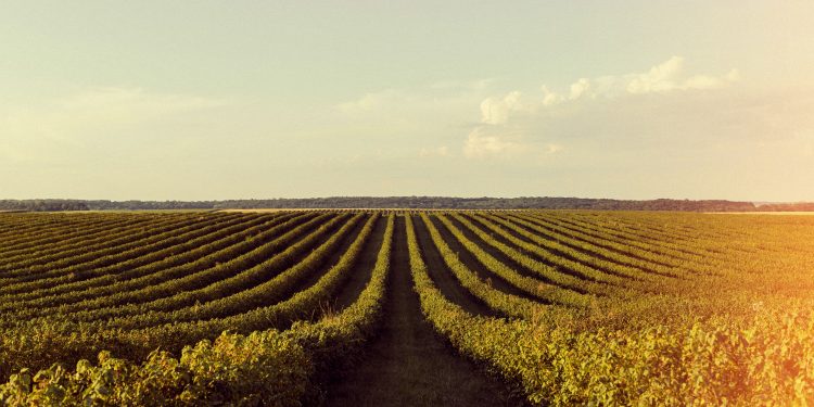 ABIMAQ promove Webinar sobre o Plano Safra 2025/2026