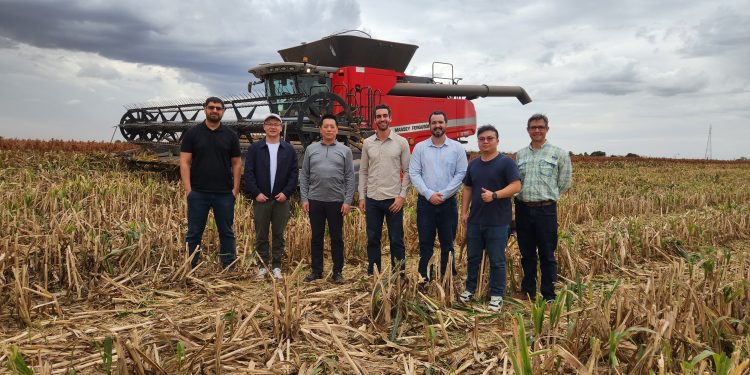 Delegação chinesa visita propriedade do diretor da Maizall, Pedro Ottoni