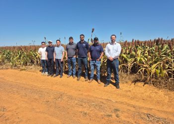 Delegação chinesa conclui agenda de visitas técnicas no Brasil