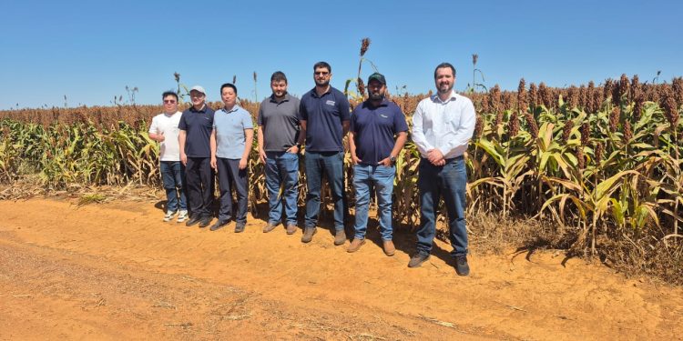 Delegação chinesa conclui agenda de visitas técnicas no Brasil